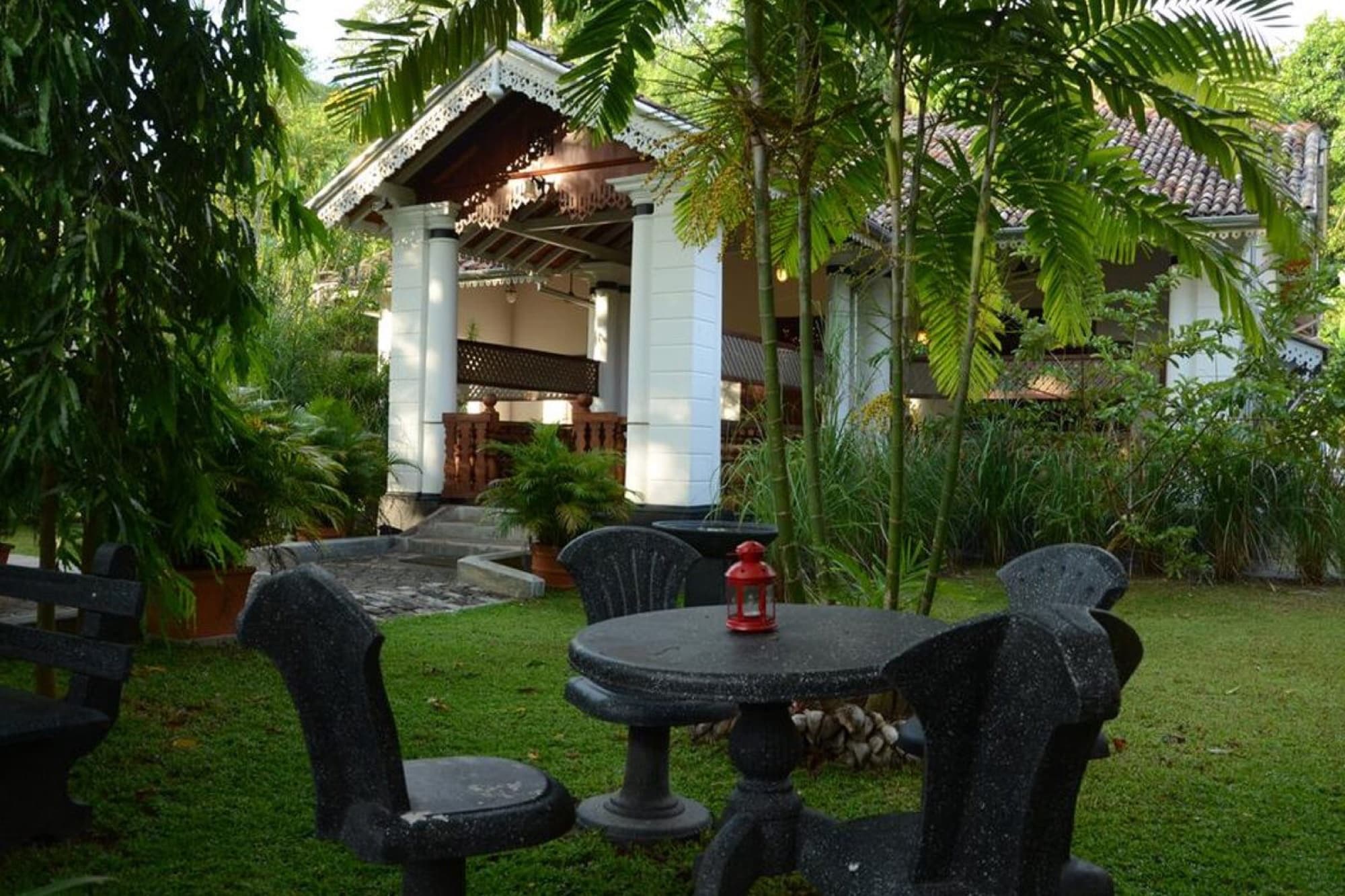 wakwella-1-1200x800-1